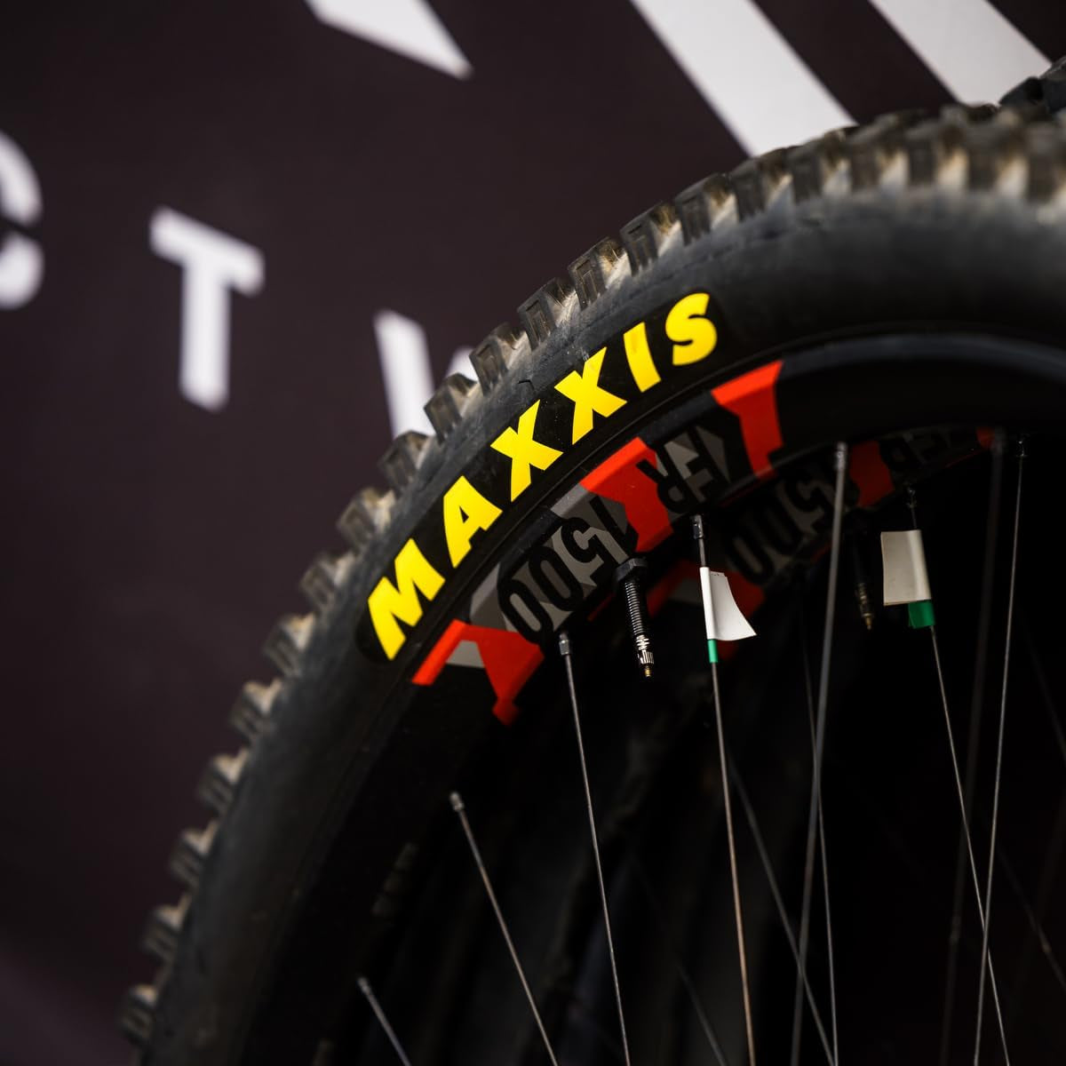 Ardent - Dual Compound - 26, 27.5 - EXO - Tubeless | Ramped Center Knobs Provide Excellent Traction, Size 27.5X2.25 - EXO